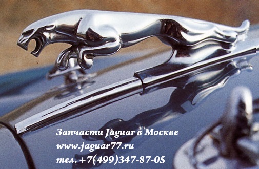 Маскот на капот v8